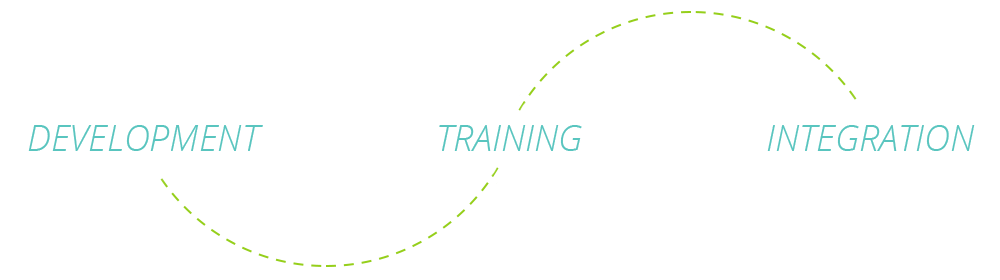 Desenvolvimento, Treinamento e Integração