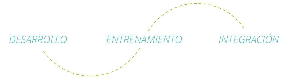 Desenvolvimento, Treinamento e Integração