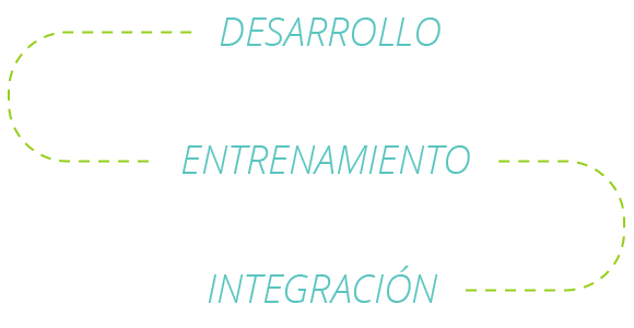 Desenvolvimento, Treinamento e Integração