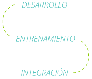 Desenvolvimento, Treinamento e Integração
